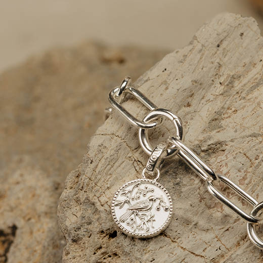 Tui Coin Pendant Charm (Admired)