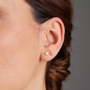 Mini Scallop Studs (Iconic)