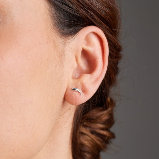 Mini Dolphin Studs (Friendly)