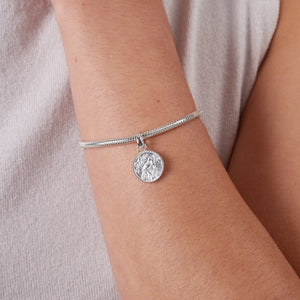 Tui Coin Pendant Charm (Admired)