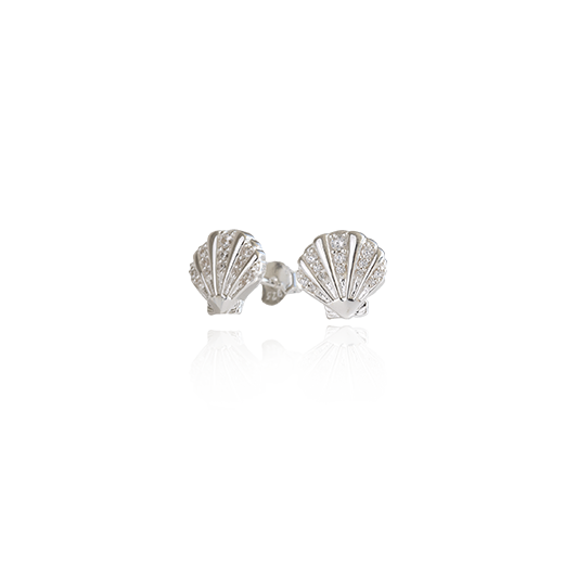 Seashell Studs (Patient)