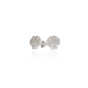 Seashell Studs (Patient)