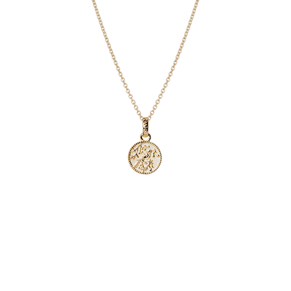 Tui Coin Necklace (Admired) - Gold