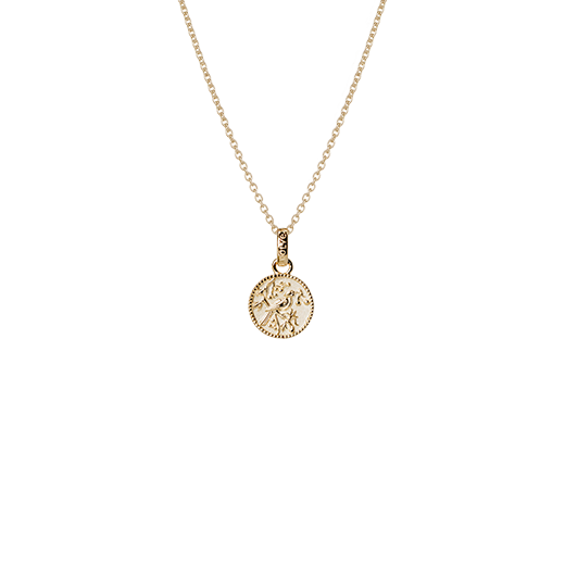 Tui Coin Necklace (Admired) - Gold