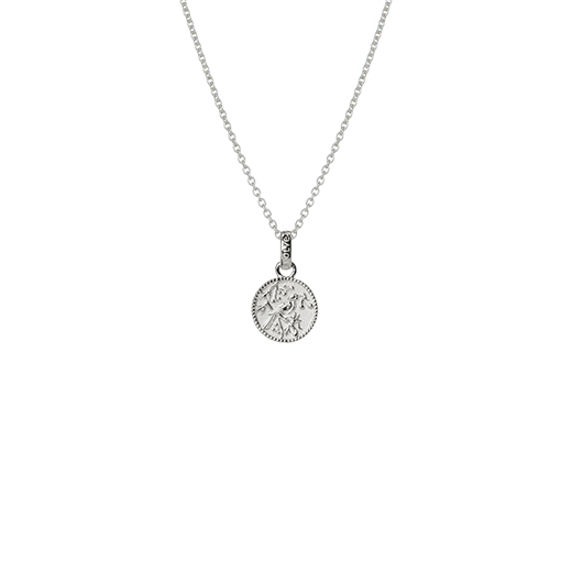 Tui Coin Necklace (Admired)