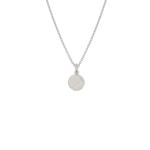 NZ Map Coin Necklace (Cherished)