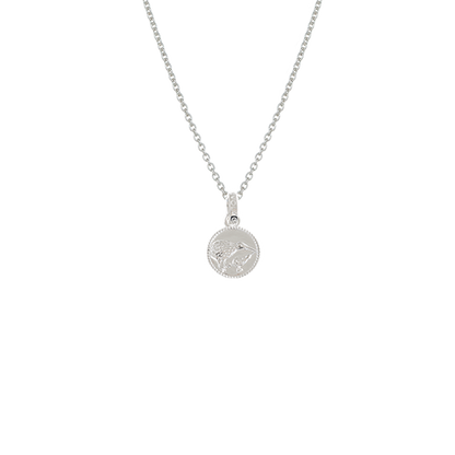 Kiwi Coin Necklace (Iconic)