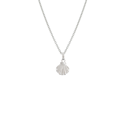 Seashell Necklace (Patient)