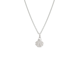 Seashell Necklace (Patient)