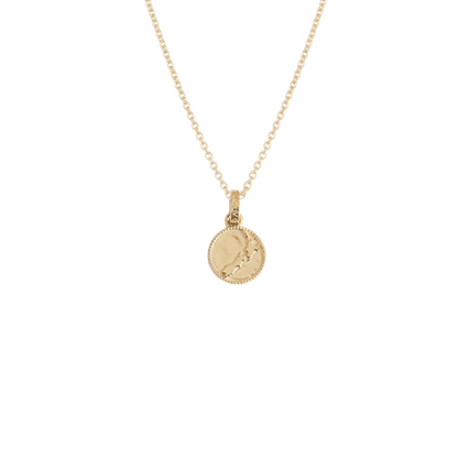 Gold necklace with a round nz map pendant on a white background