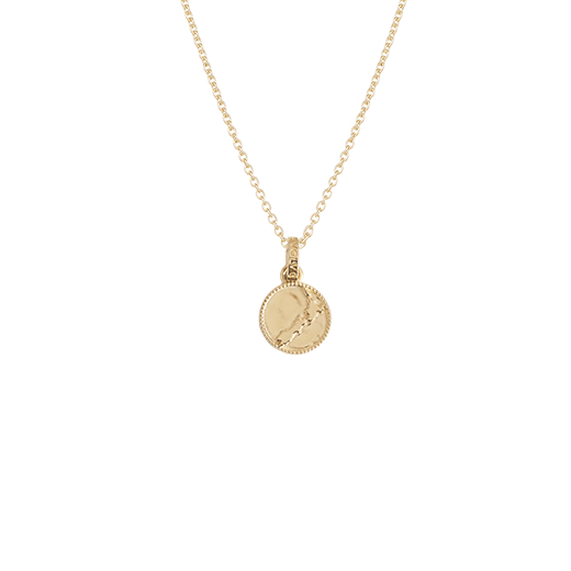 Gold necklace with a round nz map pendant on a white background