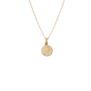 Gold necklace with a round nz map pendant on a white background