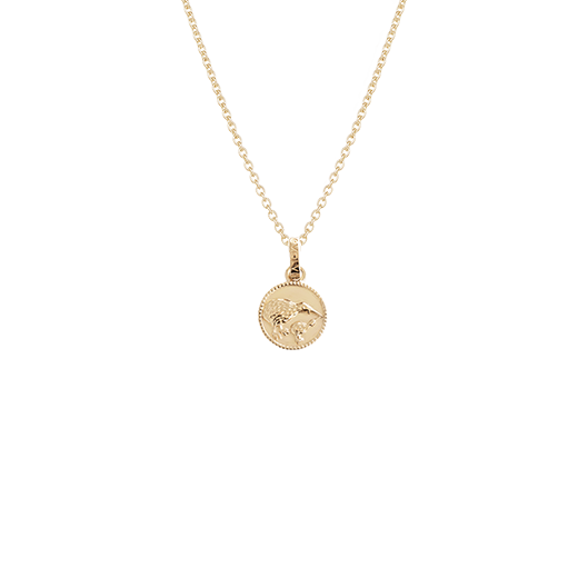 Kiwi Coin Necklace (Iconic) - Gold