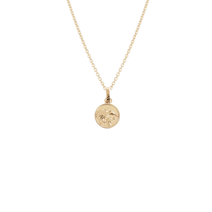 Kiwi Coin Necklace (Iconic) - Gold