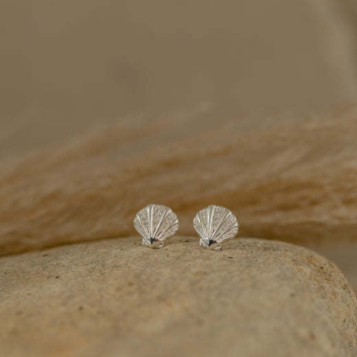 Seashell Studs (Patient)