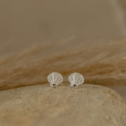 Seashell Studs (Patient)