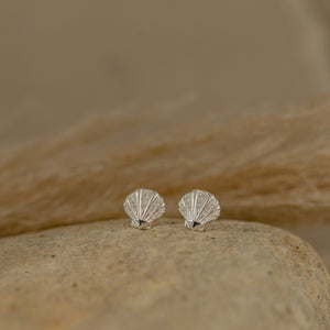 Seashell Studs (Patient)