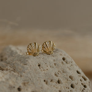 Seashell Studs (Patient) - Gold