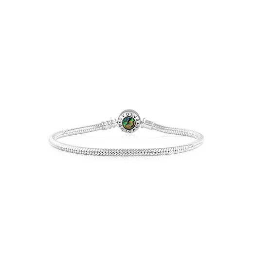 Evolve Paua Bracelet