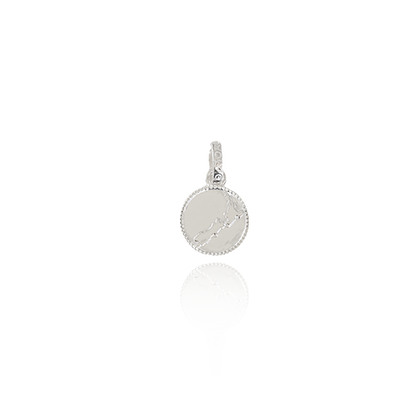 NZ Map Coin Pendant Charm (Cherished)