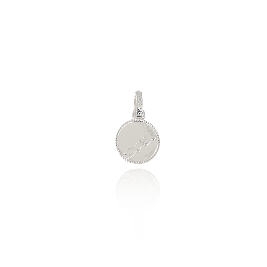 NZ Map Coin Pendant Charm (Cherished)