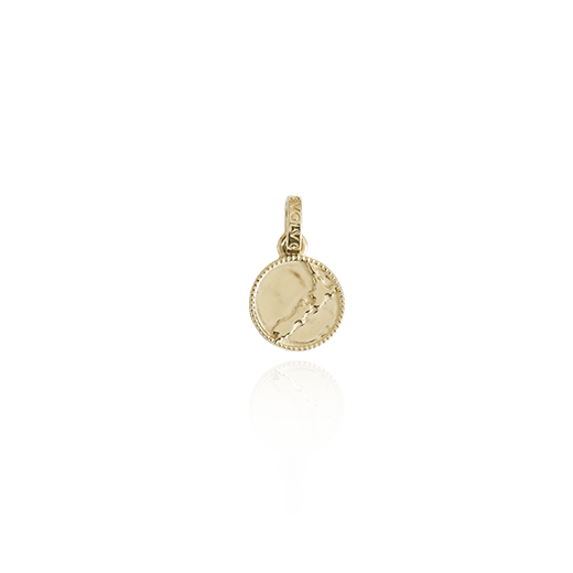 NZ Map Coin Pendant Charm (Cherished) - Gold