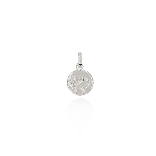 Kiwi Coin Pendant Charm (Iconic)