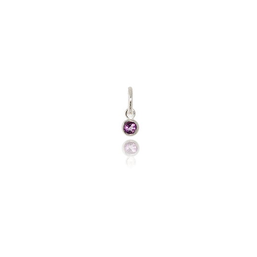 February Pendant Charm (Amethyst)