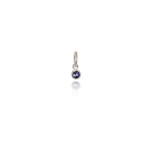 September Pendant Charm (Iolite)