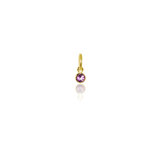 February Pendant Charm (Amethyst) - Gold