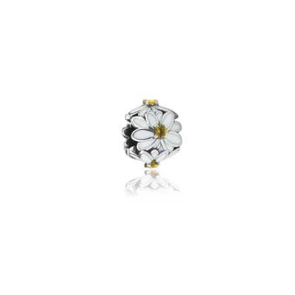 White Daisy (Cherished)