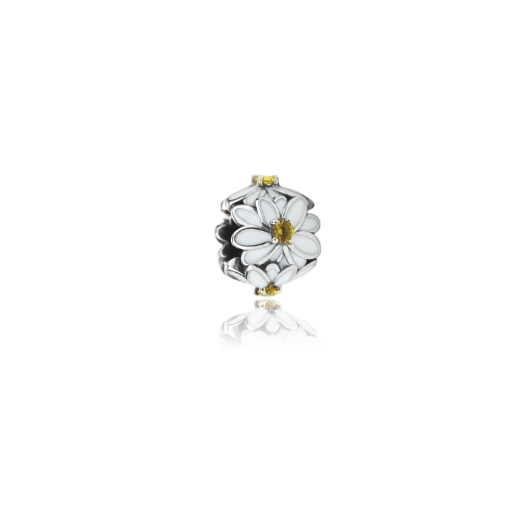 White Daisy (Cherished)