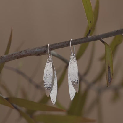Kauri Leaves Drops (Heritage)