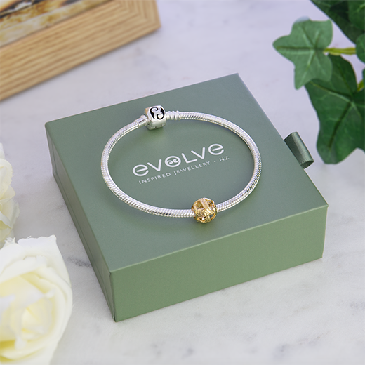 Evolve sterling silver charm bracelet gift set gold fern charm