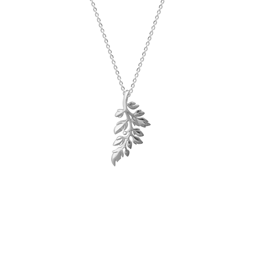 Treasured Fern necklace made of sterling silver, from Evolve Inspired Jewellery