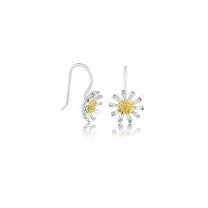 Wild crystal 2025 stud earrings