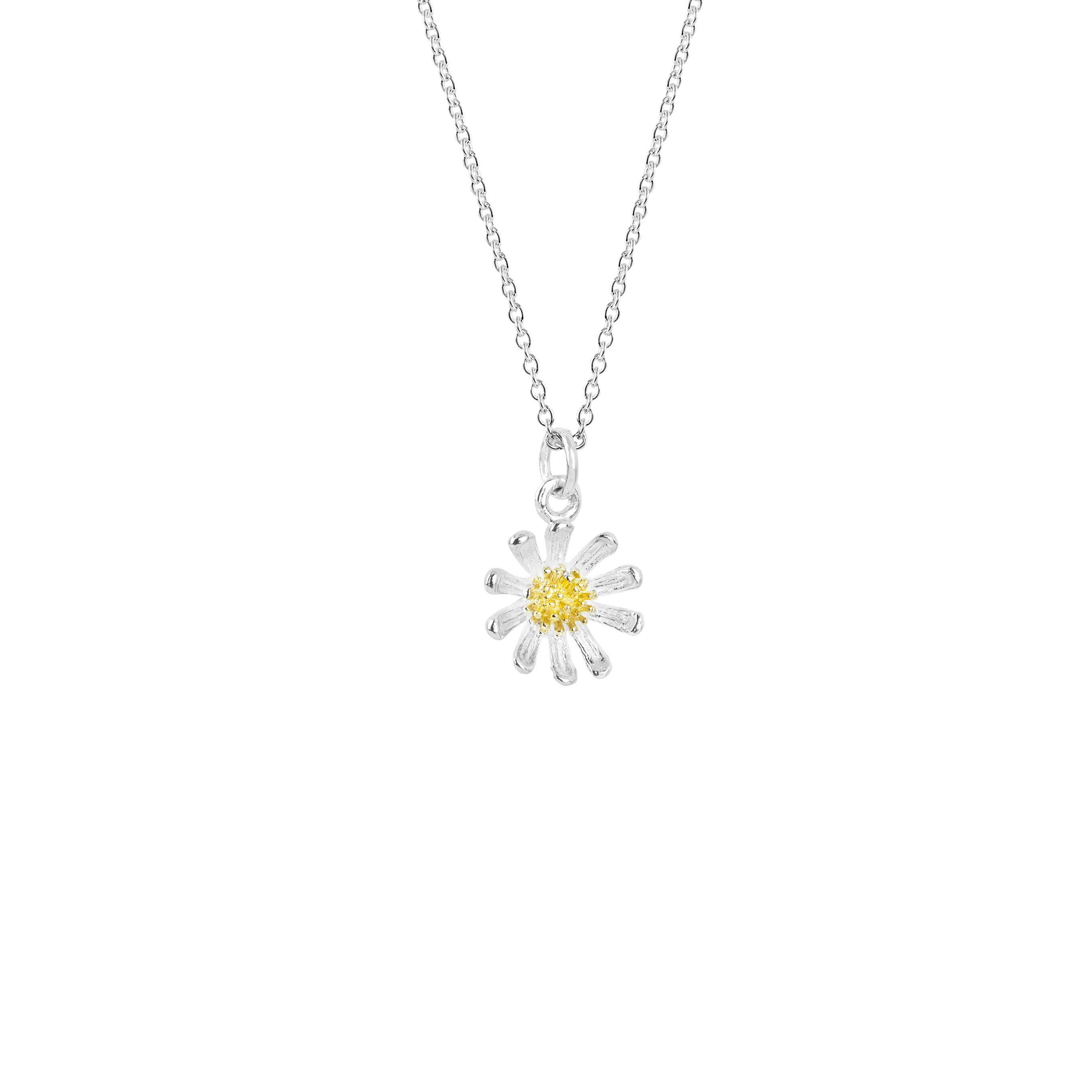 Wild Daisy Necklace, silver and gold necklace meaning friendship from Evolve Inspired Jewellery