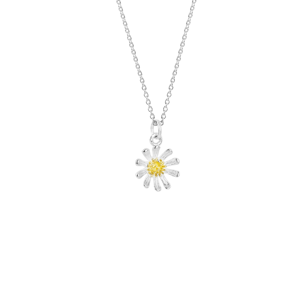 Wild Daisy Necklace Friendship Silver Gold Necklace Evolve
