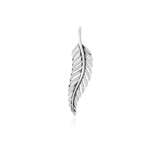 Sterling silver nz fern design necklace pendant, from Evolve Inspired Jewellery