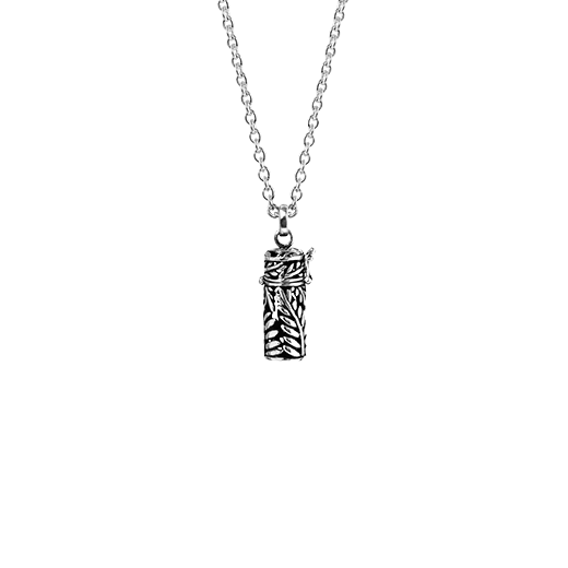 Sterling silver necklace locket with fern design, from Evolve Inspired Jewellery