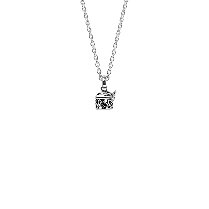 Sterling silver necklace locket with nz jewellery design, from Evolve Inspired Jewellery