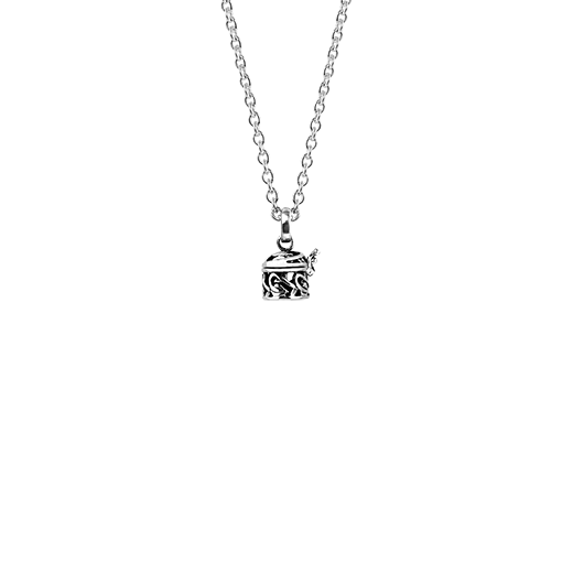 Sterling silver necklace locket with nz jewellery design, from Evolve Inspired Jewellery