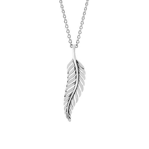 Sterling silver nz fern design necklace, from Evolve Inspired Jewellery