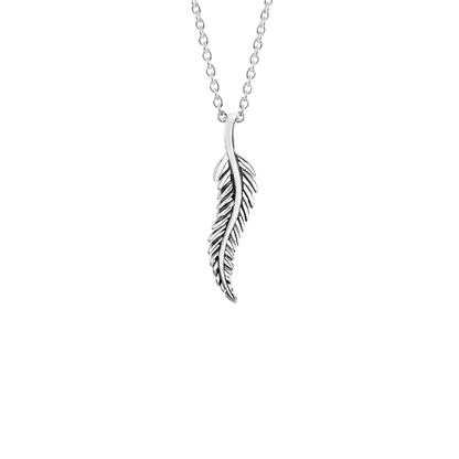 Sterling silver fern design necklace, from Evolve Inspired Jewellery