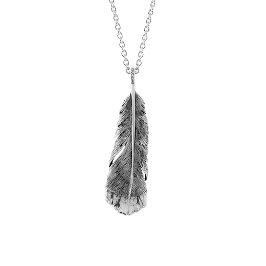 Sterling silver huia feather design necklace, meaning admired, from Evolve Inspired Jewellery