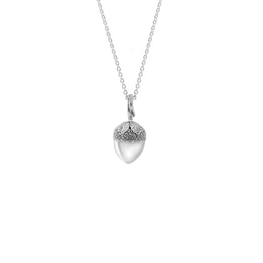 Sterling silver acorn design neckalce, meaning potential, from Evolve Inspired Jewellery