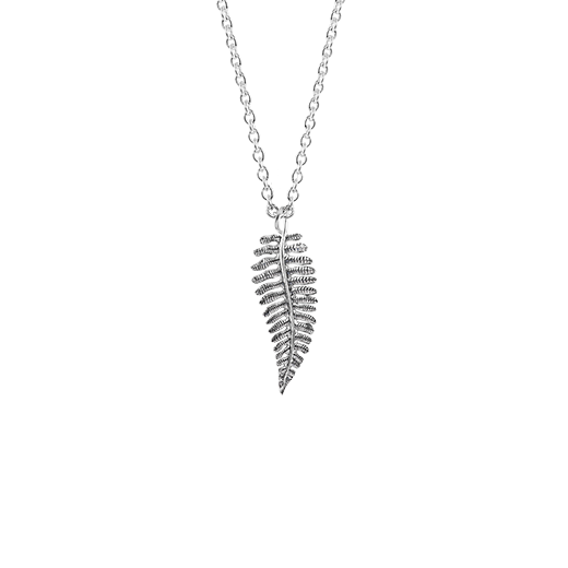 Sterling silver nz fern design necklace, meaning treasured, from Evolve Inspired Jewellery