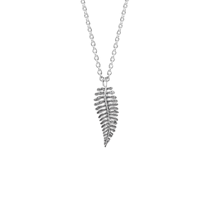 Sterling silver nz fern design necklace, meaning treasured, from Evolve Inspired Jewellery