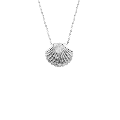 Sterling silver scallop design necklace, meaning direction, from Evolve Inspired Jewellery