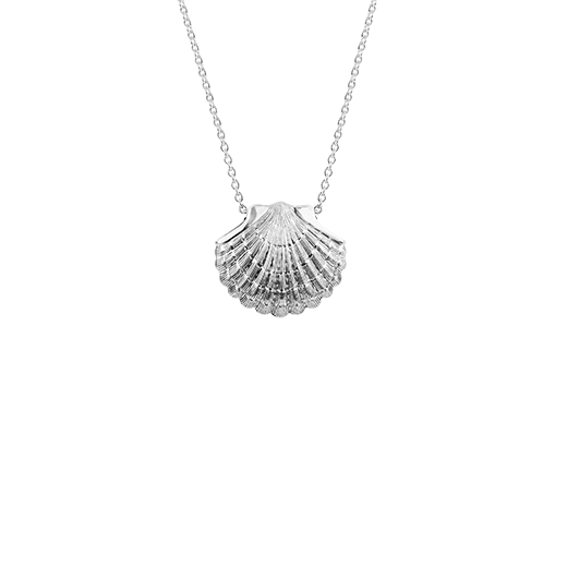 Sterling silver scallop design necklace, meaning direction, from Evolve Inspired Jewellery